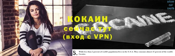 сатива Богородицк